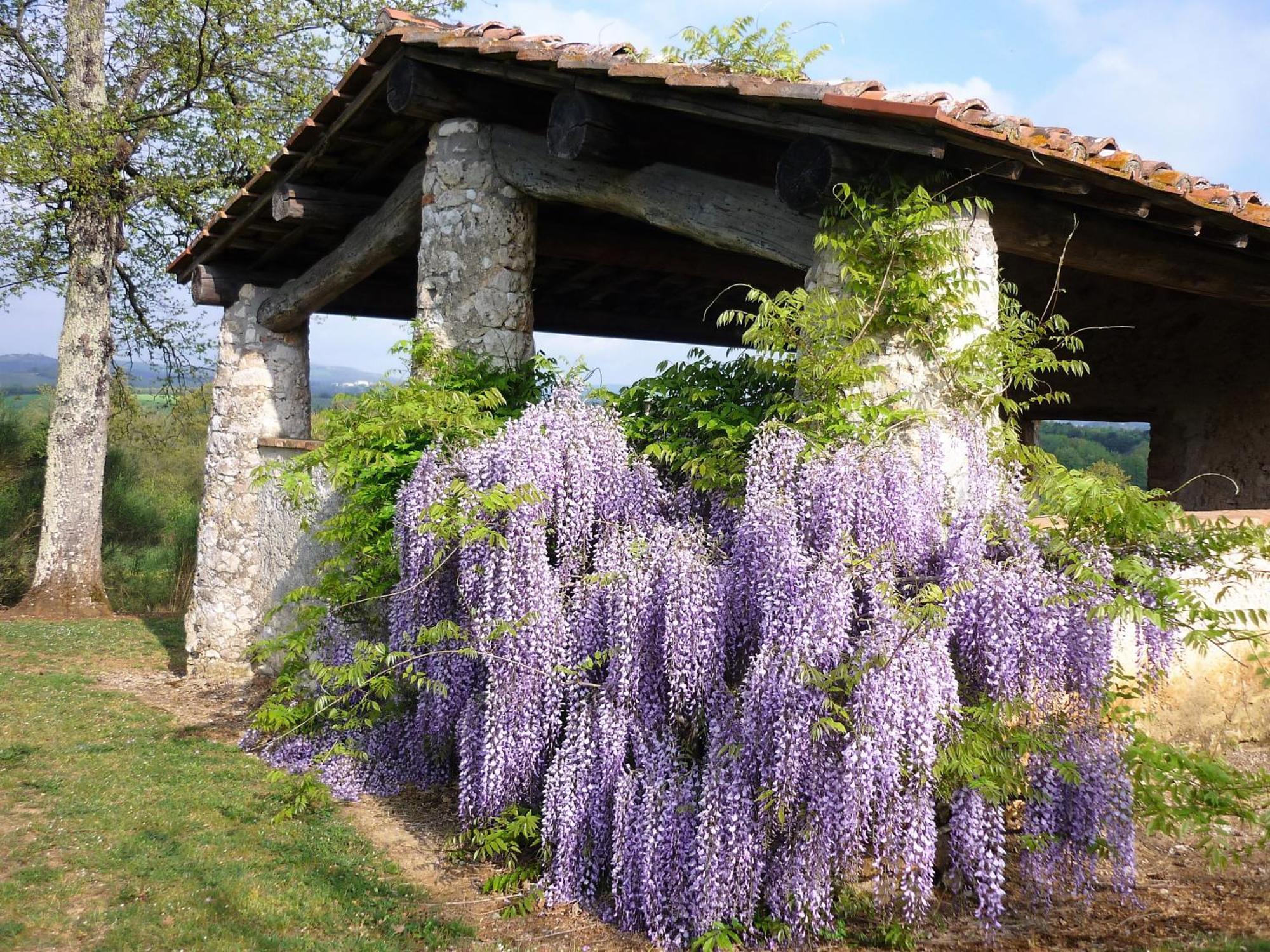 Fattoria Agriturismo Nerbona Vila Casole dʼElsa Exterior foto